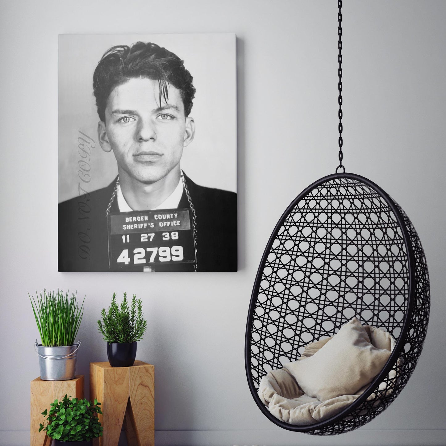 Frank Sinatra Jail Mug Shot