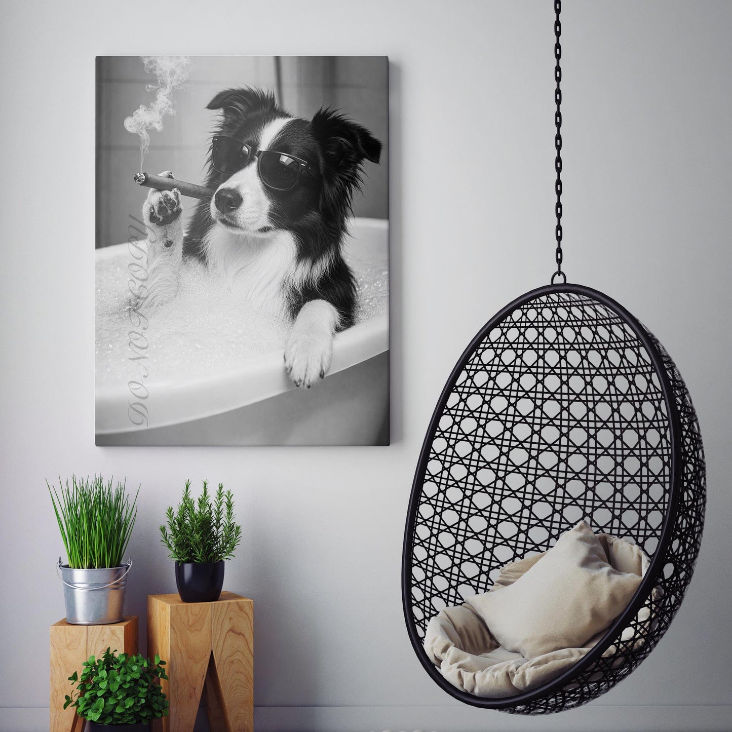 Border Collie Dog Bathtub Cigar
