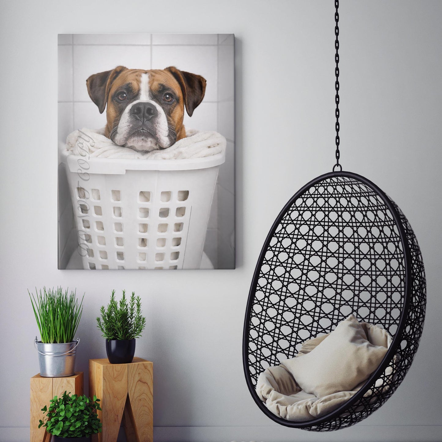 Boxer Dog Laundry