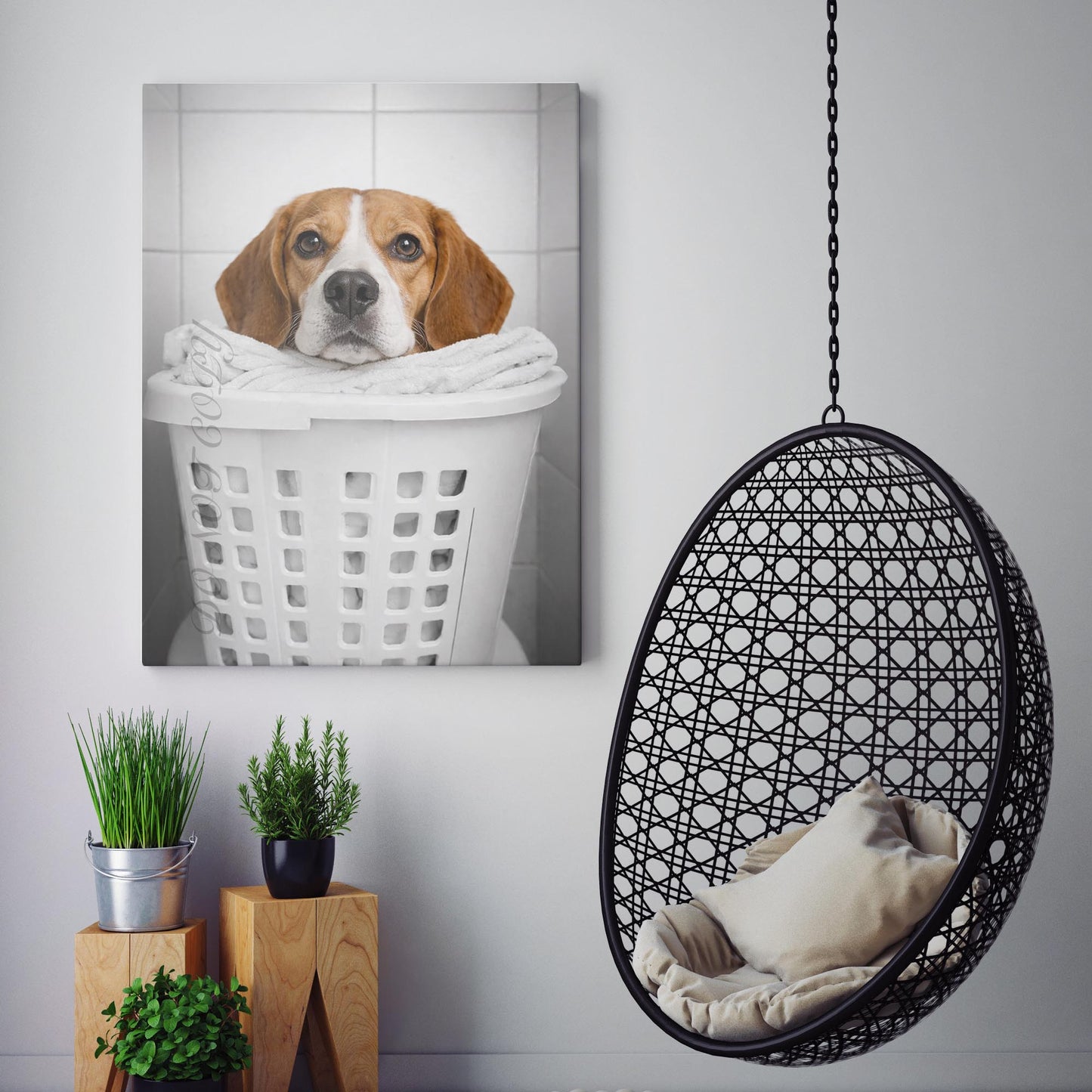 Beagle Dog Laundry