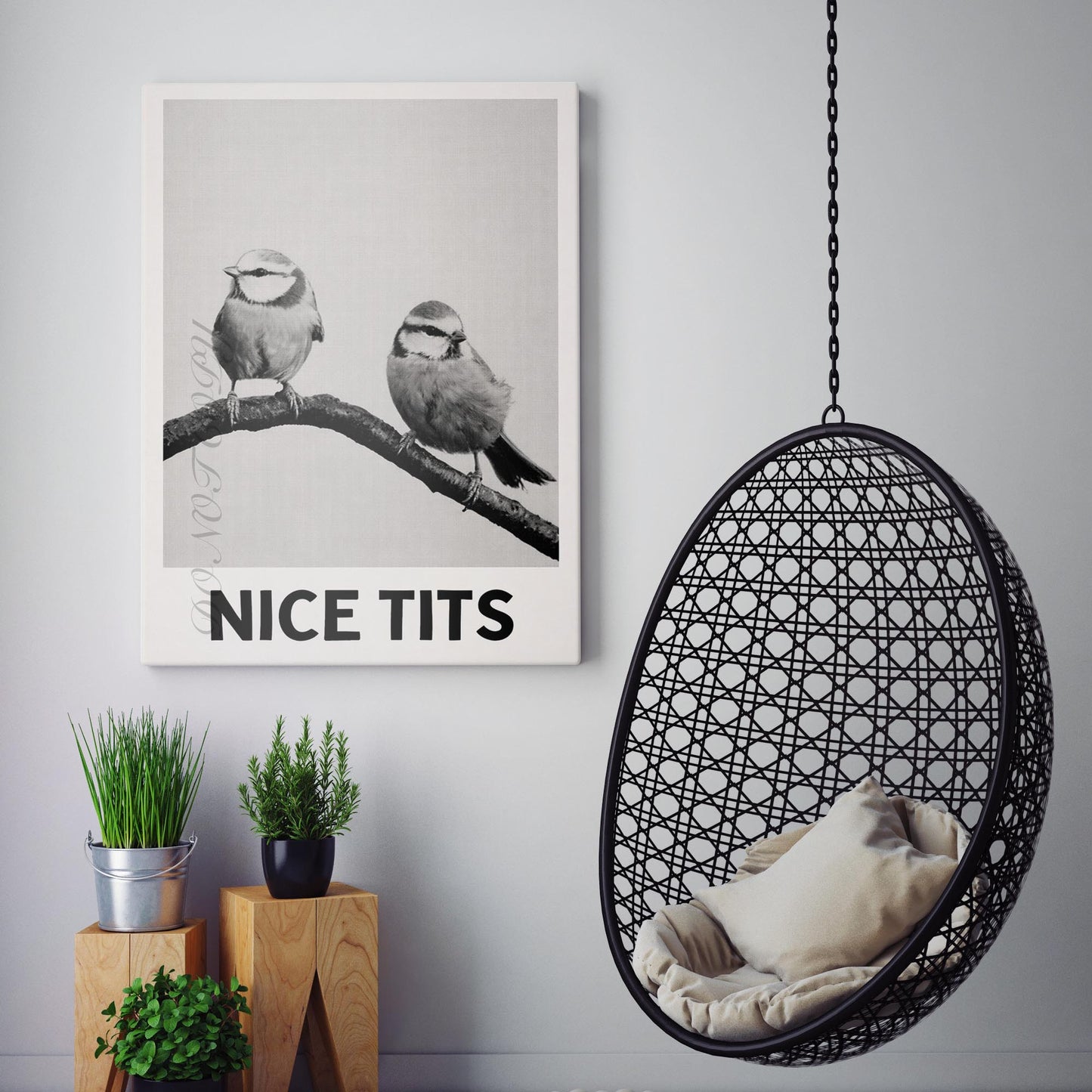 Nice Tits - Birds Bathroom Sign