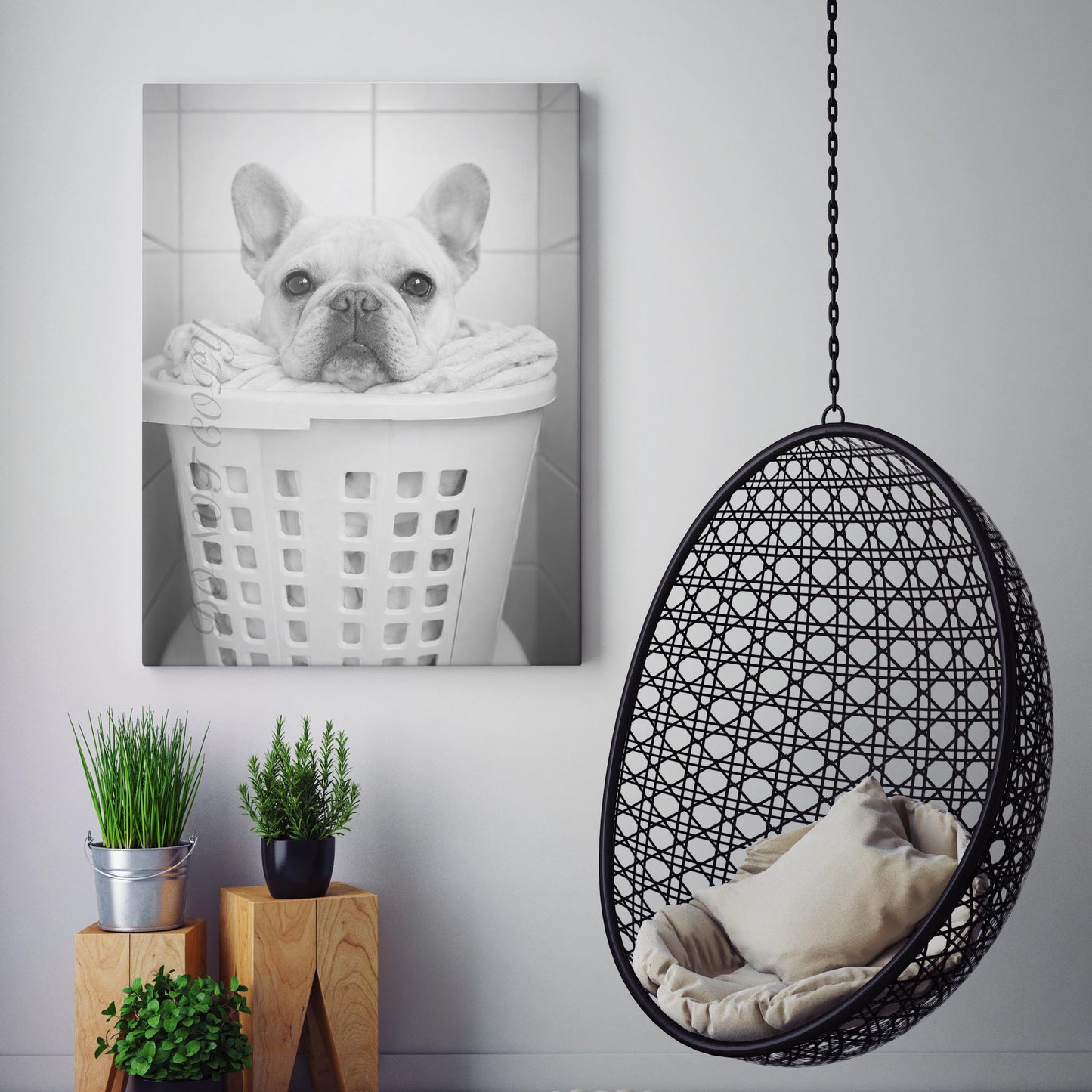 French Bulldog Laundry