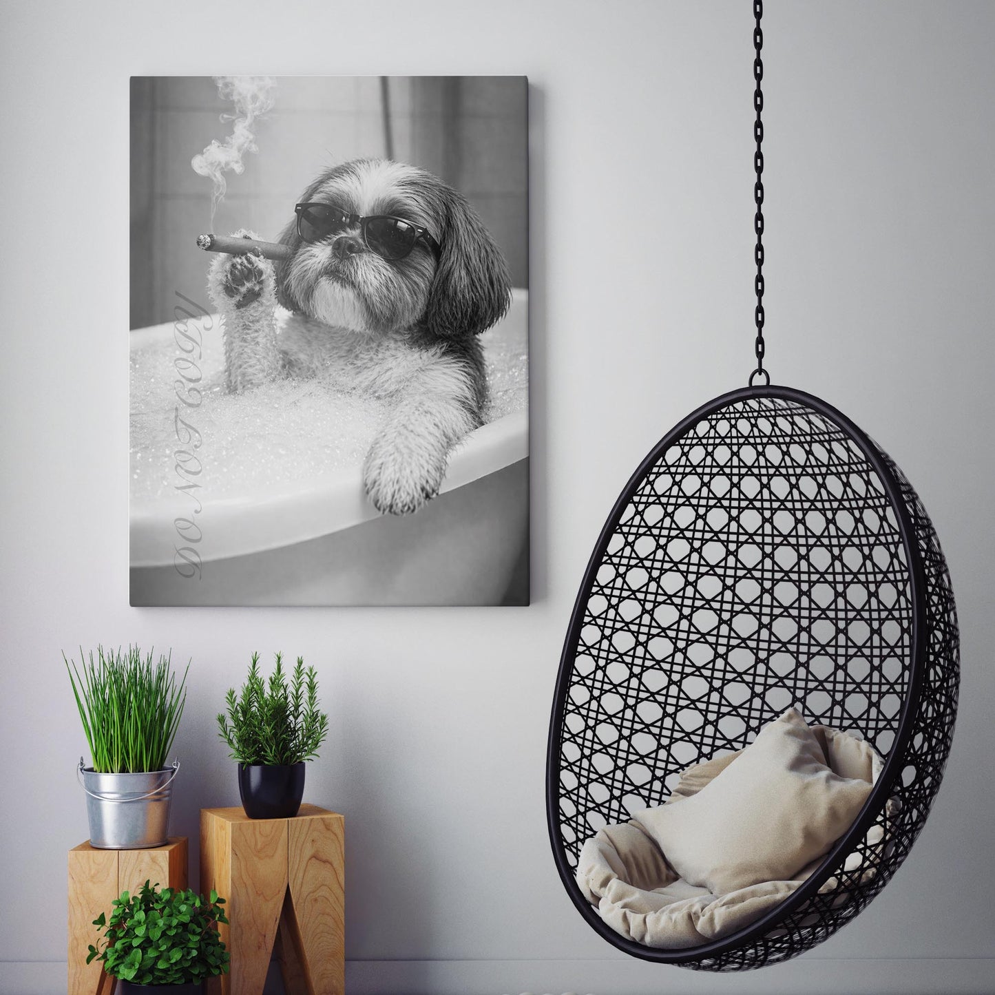 Shih Tzu Dog Bathtub Cigar