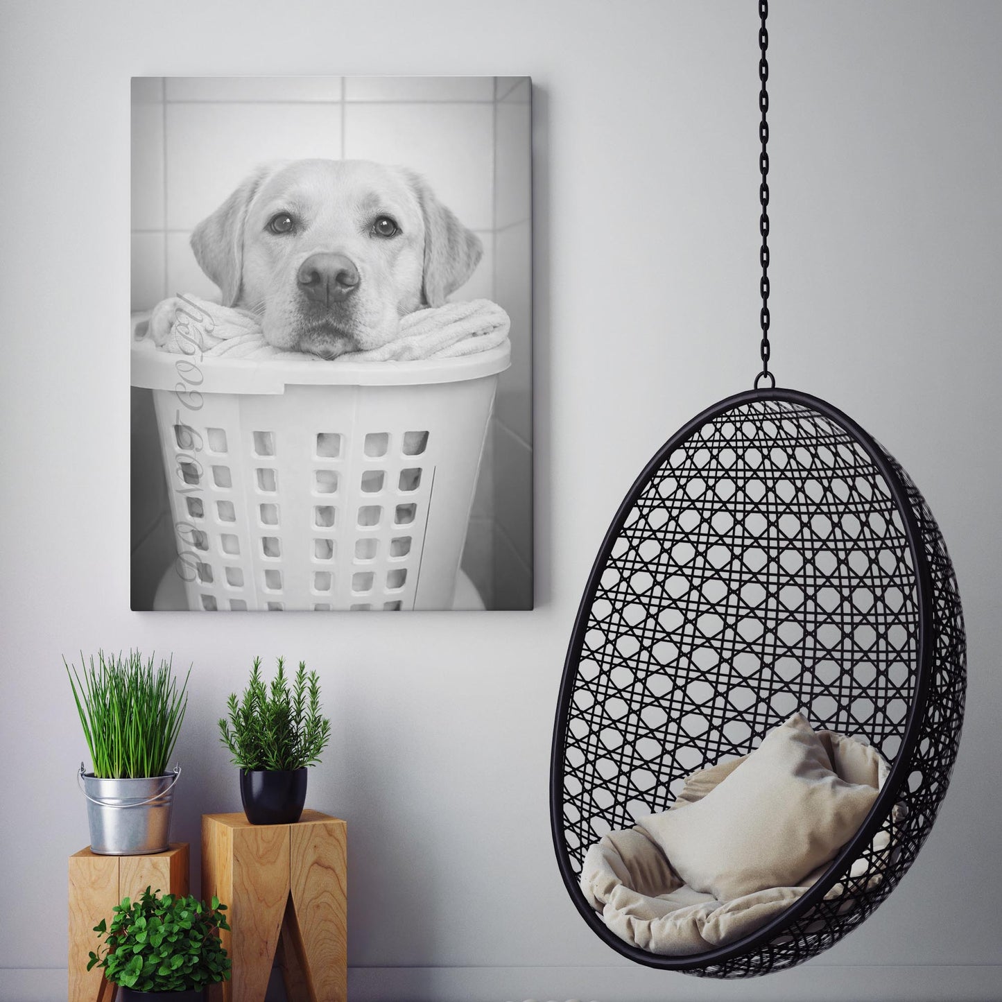 Yellow Labrador Retriever Dog Laundry