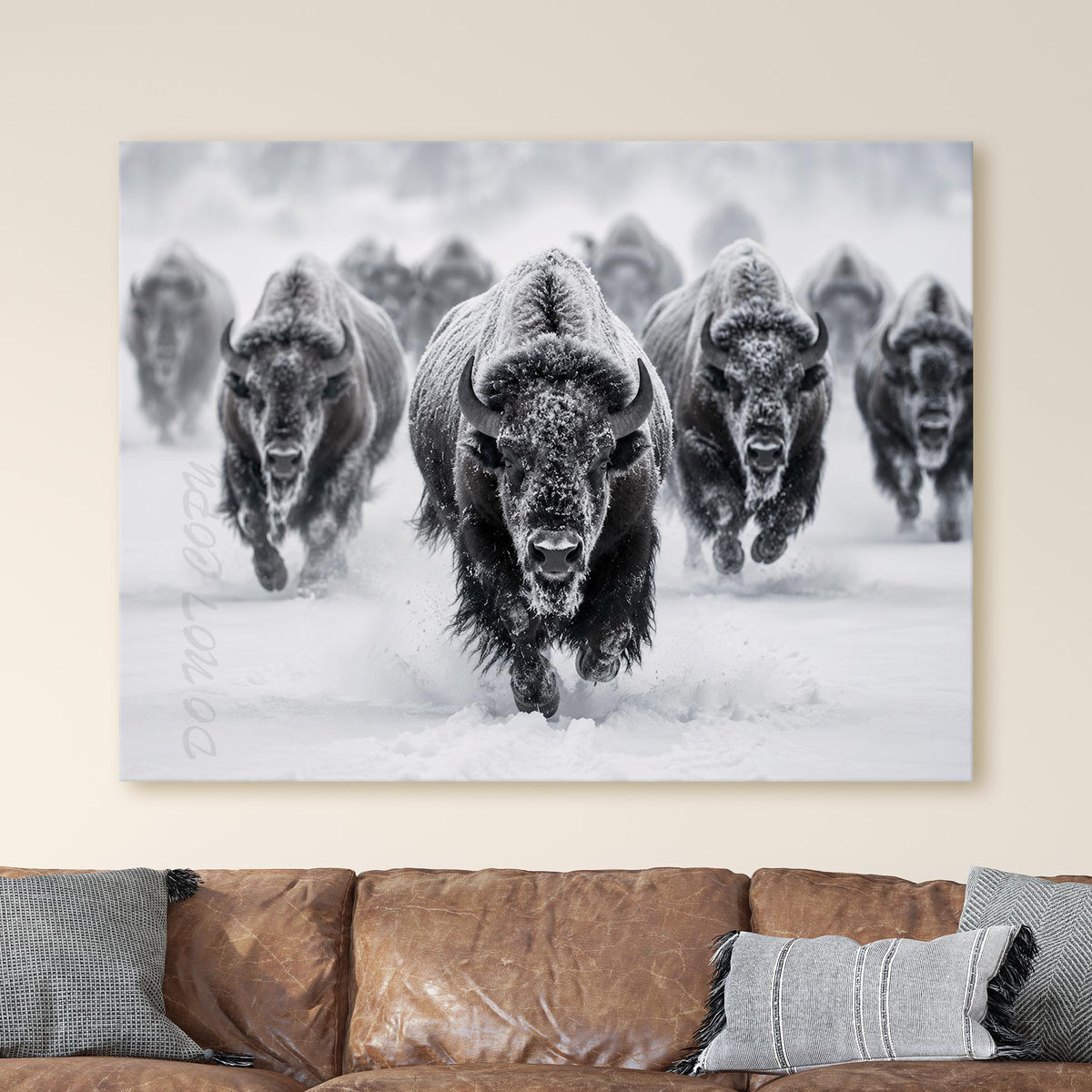 Yellowstone Bison