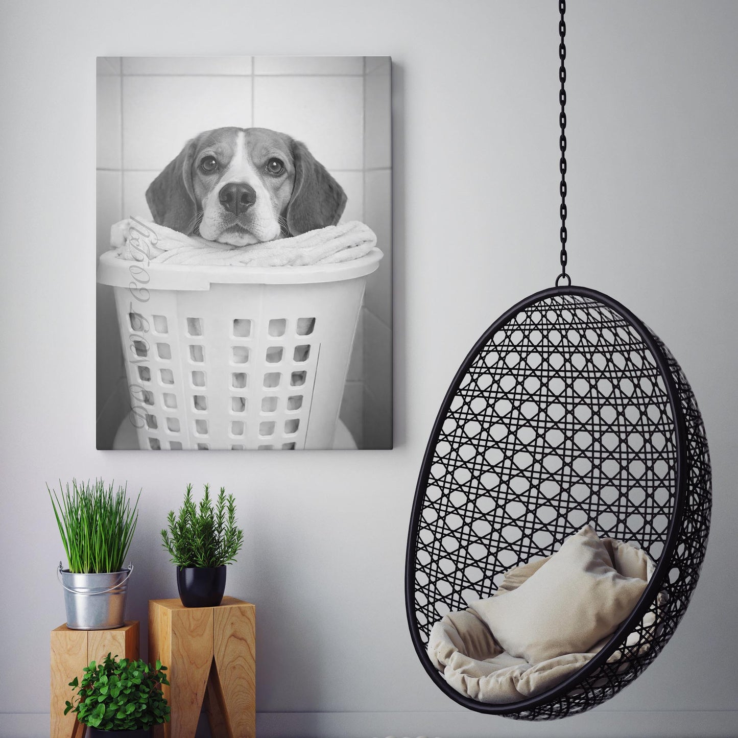 Beagle Dog Laundry
