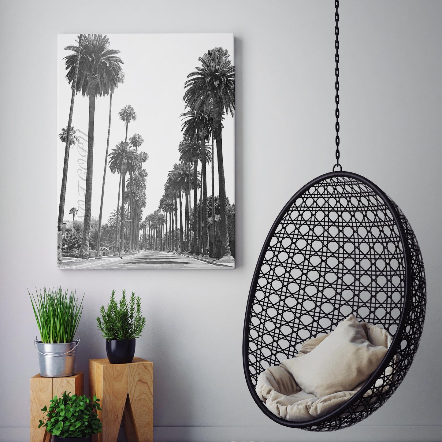 Los Angeles Palm Tree Streets