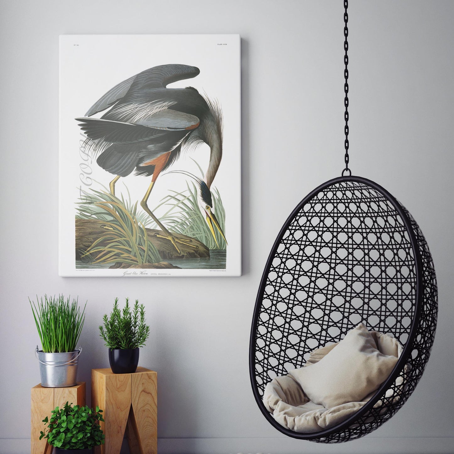 Great Blue Heron - Birds of America