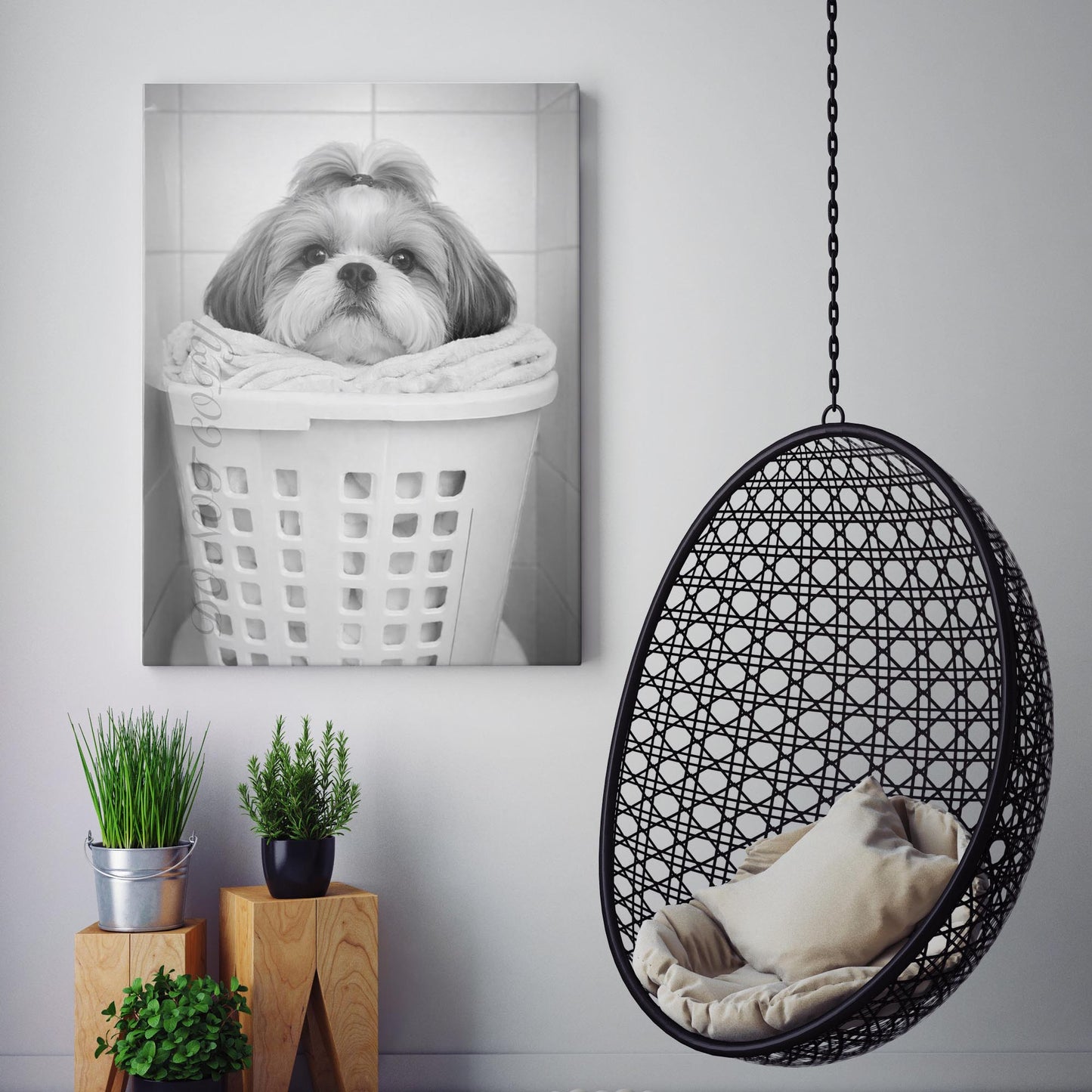 Shih Tzu Dog Laundry
