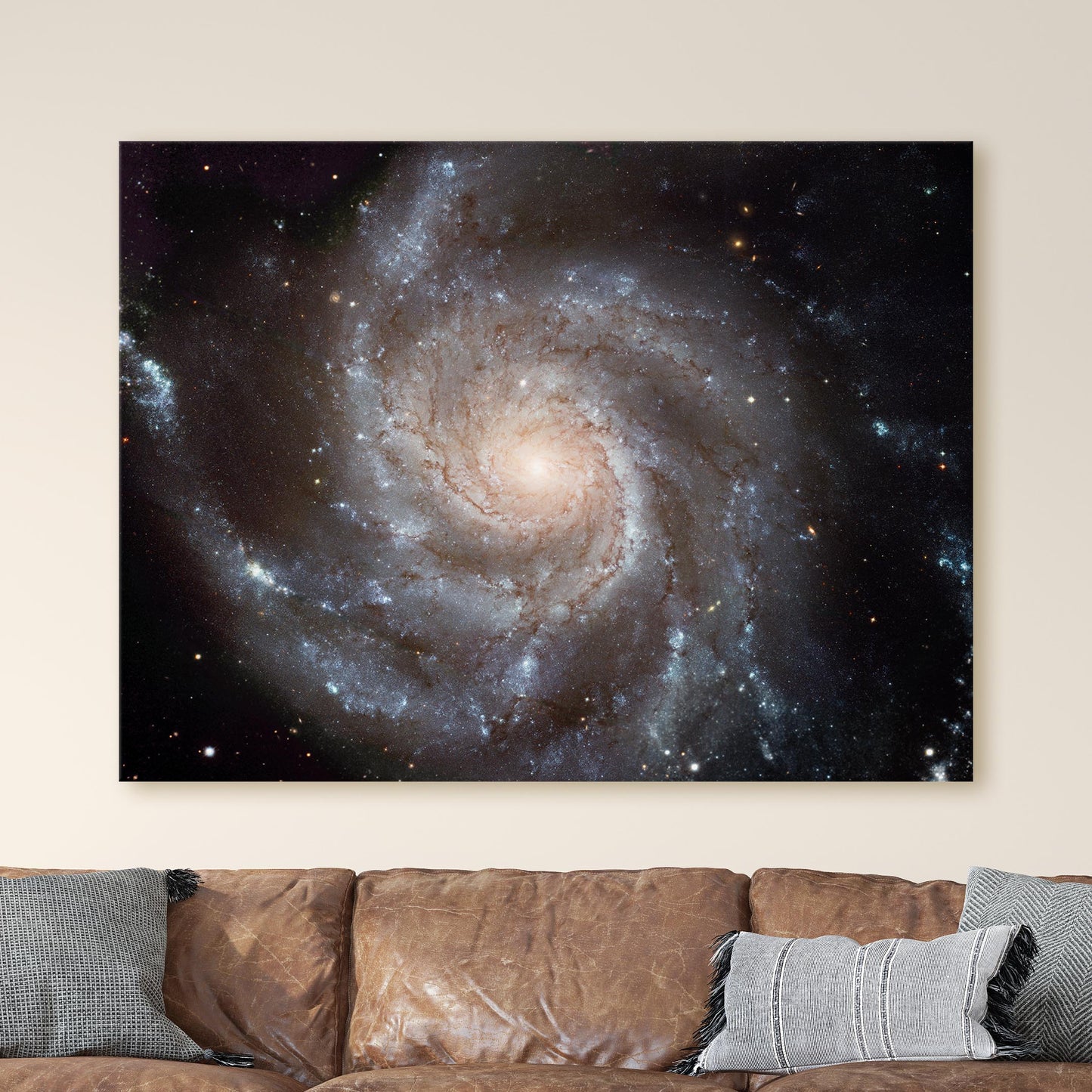 Big, Beautiful Spiral, Messier 101 (Pinwheel Galaxy)