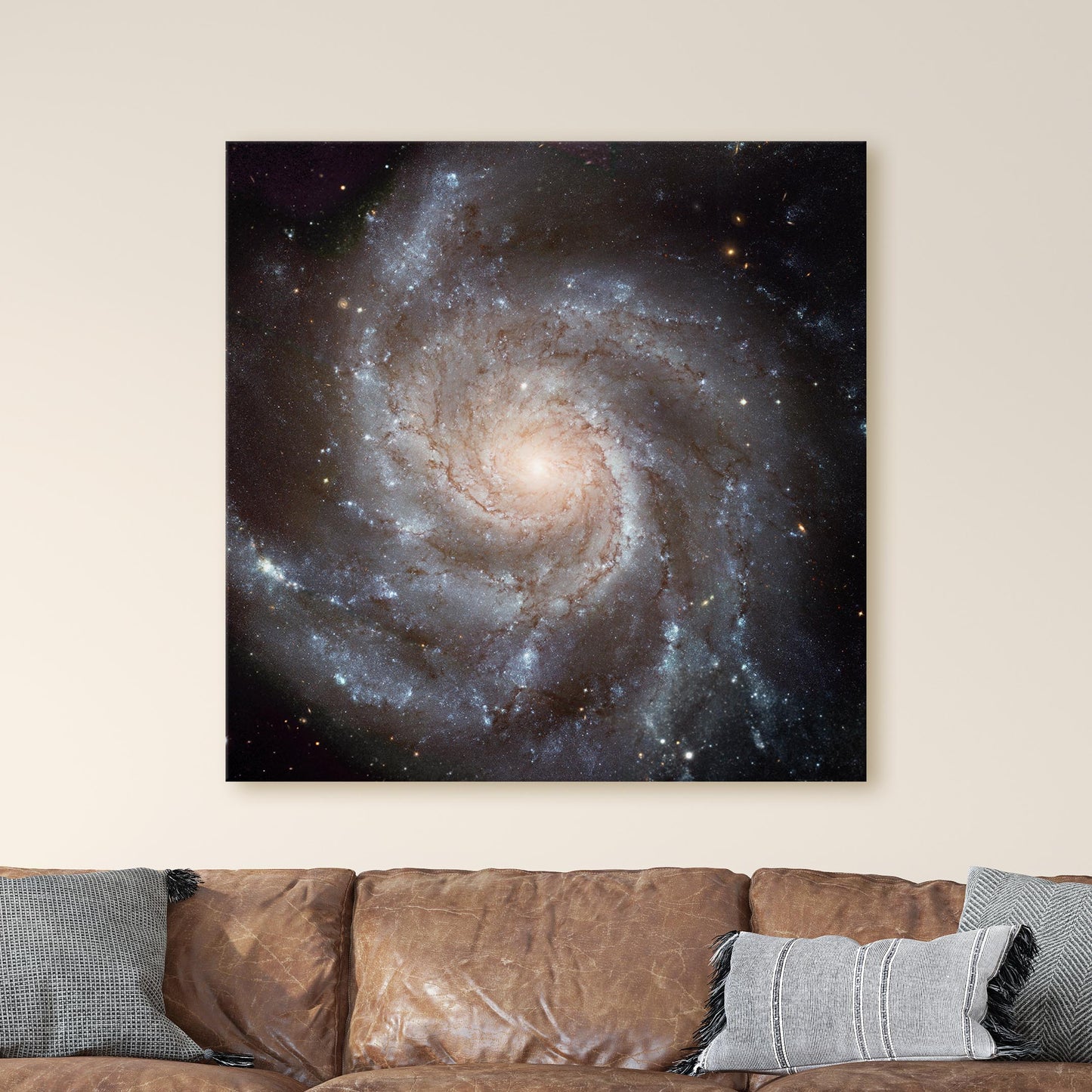 Spiral Galaxy - Messier 101 (Pinwheel Galaxy)