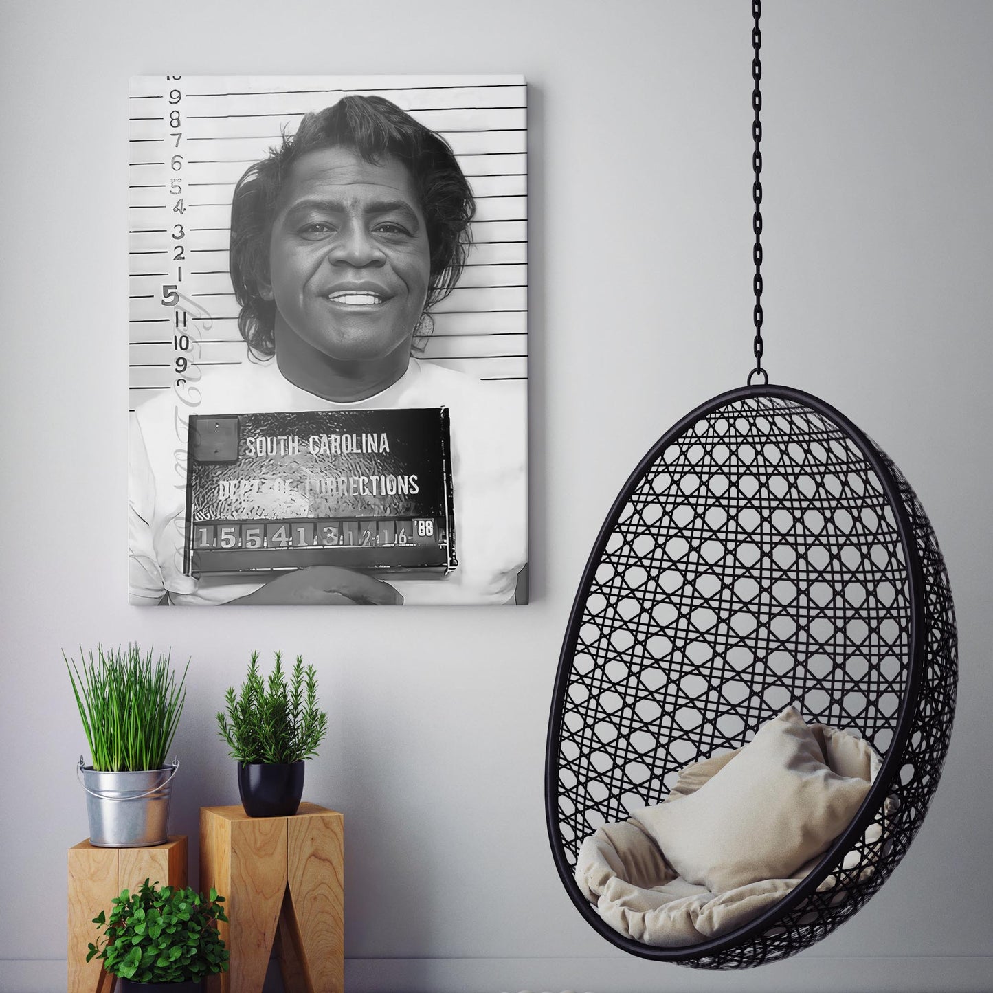 James Brown Prison Mugshot