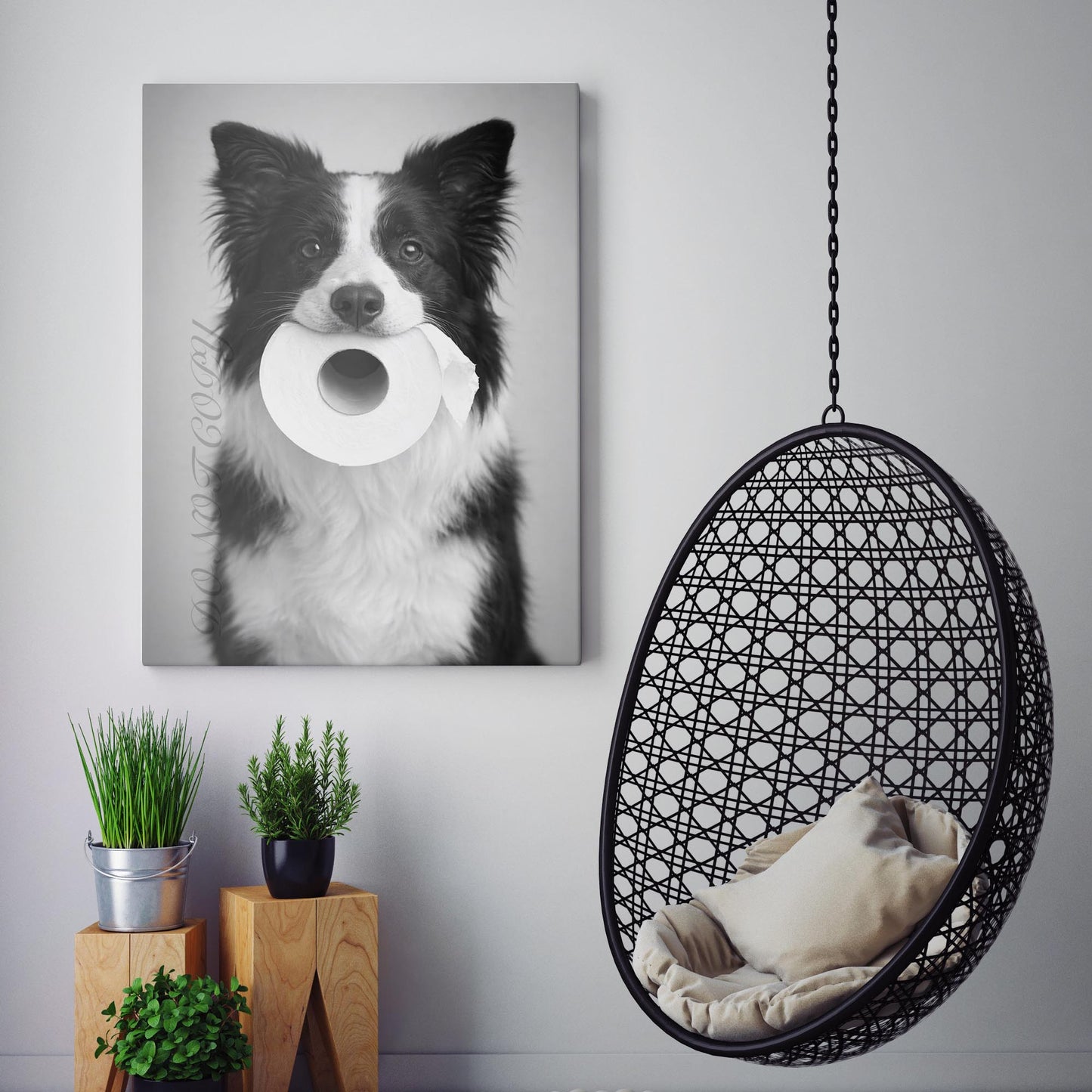 Border Collie Dog Toilet Paper