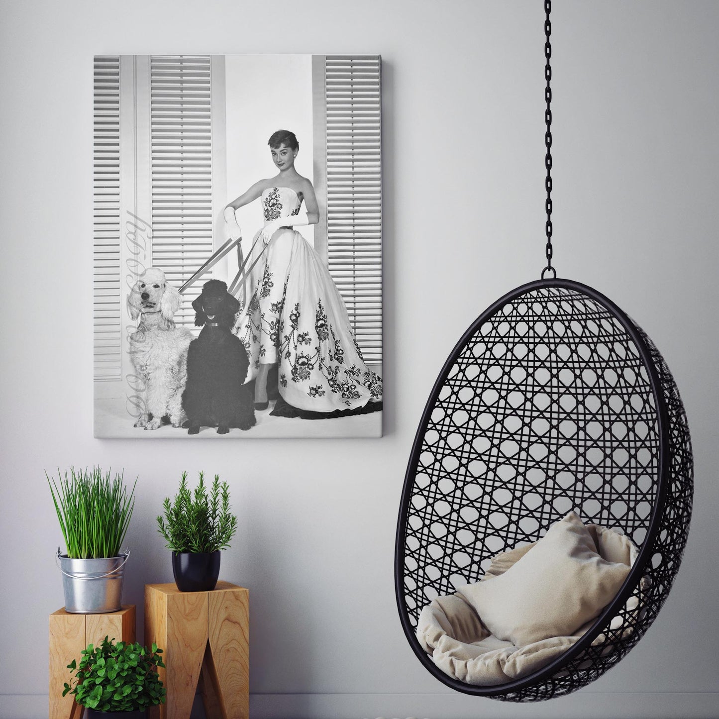 Audrey Hepburn Walking Her Dogs