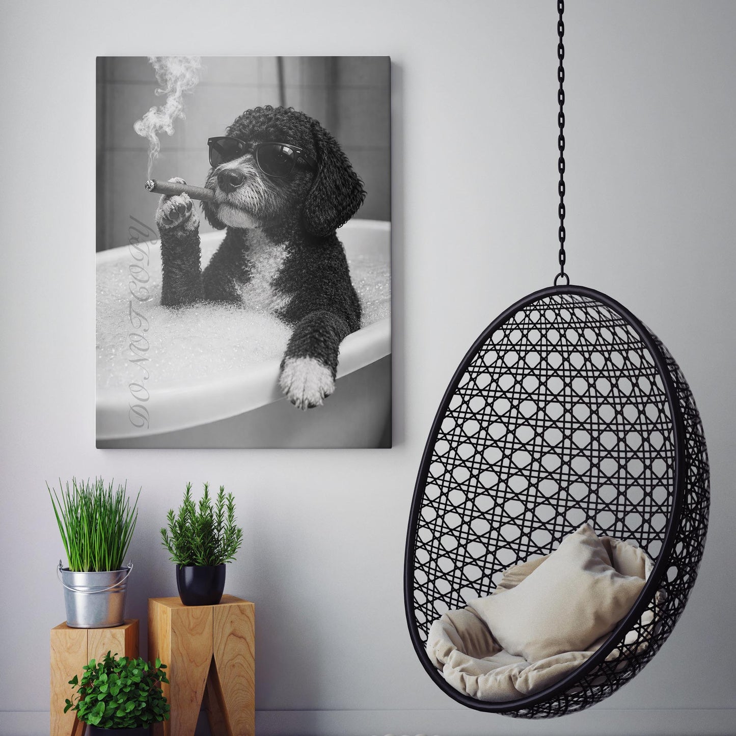 Portuguese Water Dog Bathtub Cigar