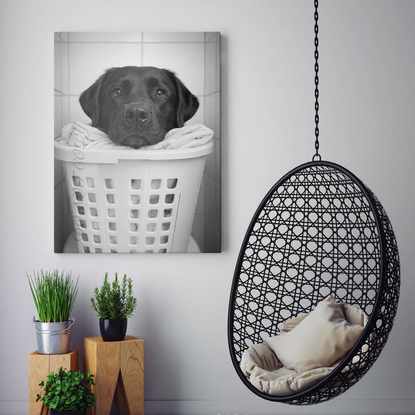 Black Labrador Dog Laundry