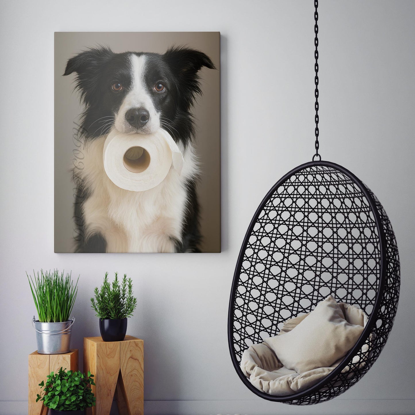 Border Collie Dog Toilet Paper