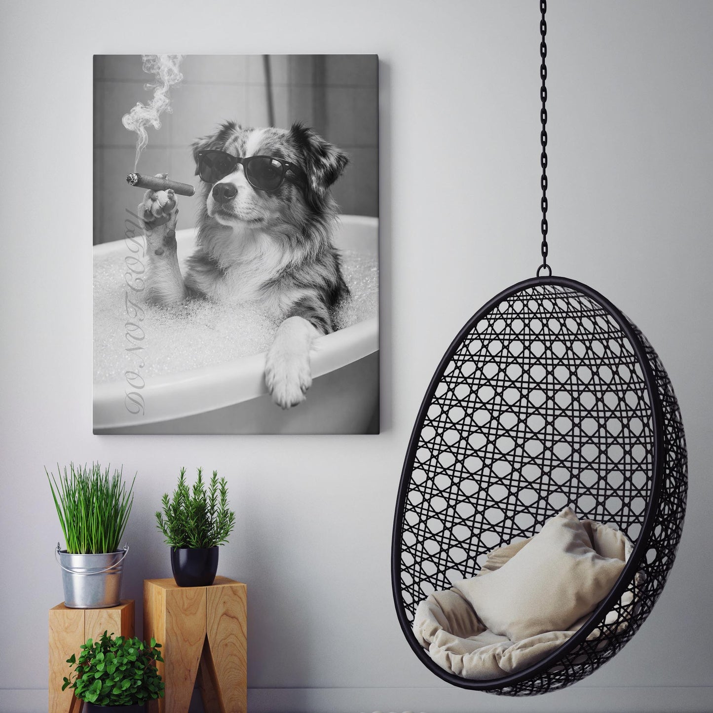Miniature American Shepherd Dog Bathtub Cigar