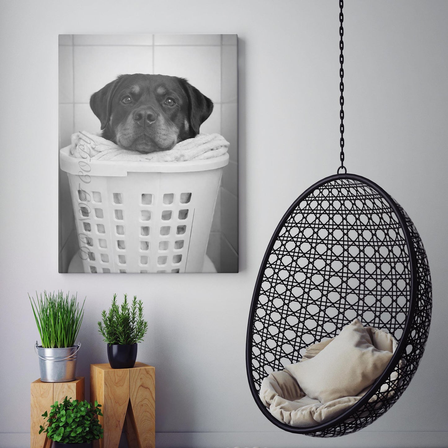 Rottweiler Dog Laundry