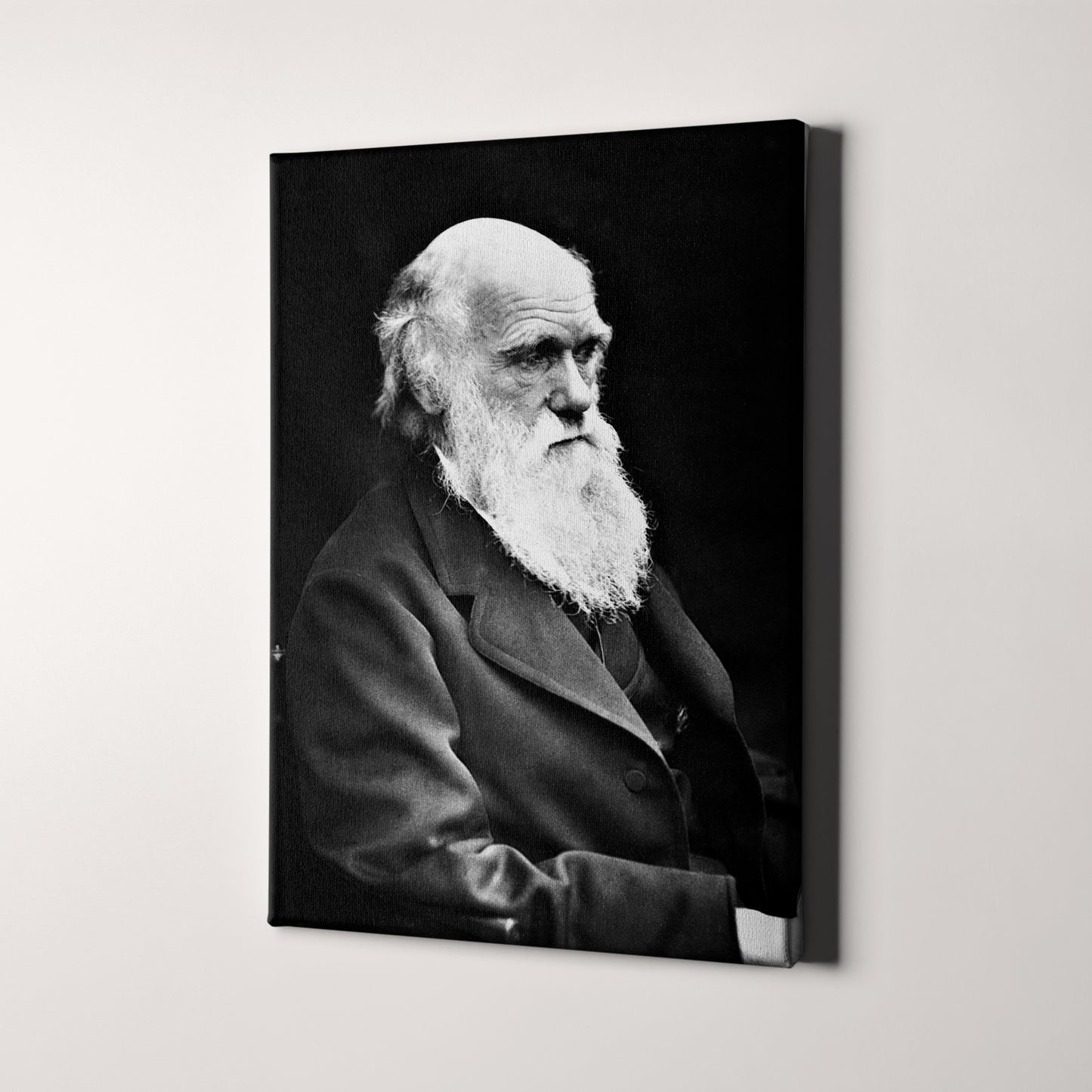 Charles Darwin 1800s