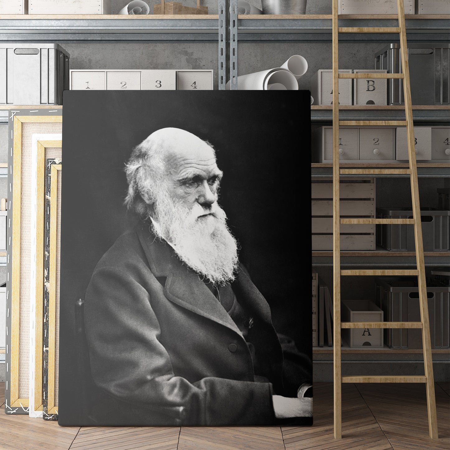 Charles Darwin 1800s