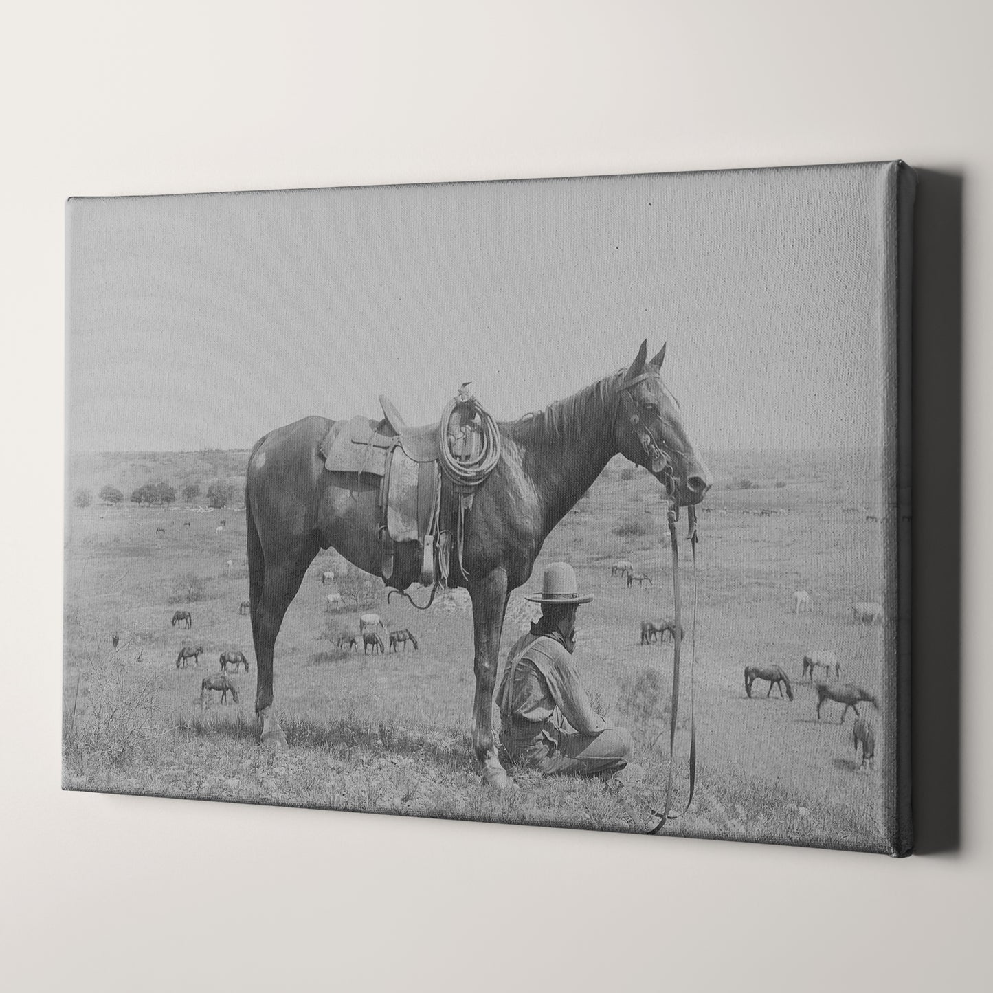 American Texas Cowboy With Horse 1910