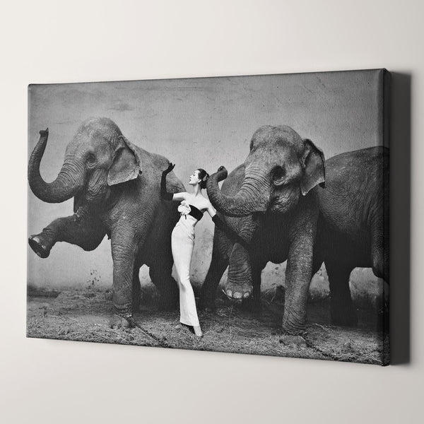 Dovima with the Elephants Canvas Wall Art Prints – Big Canvas Art