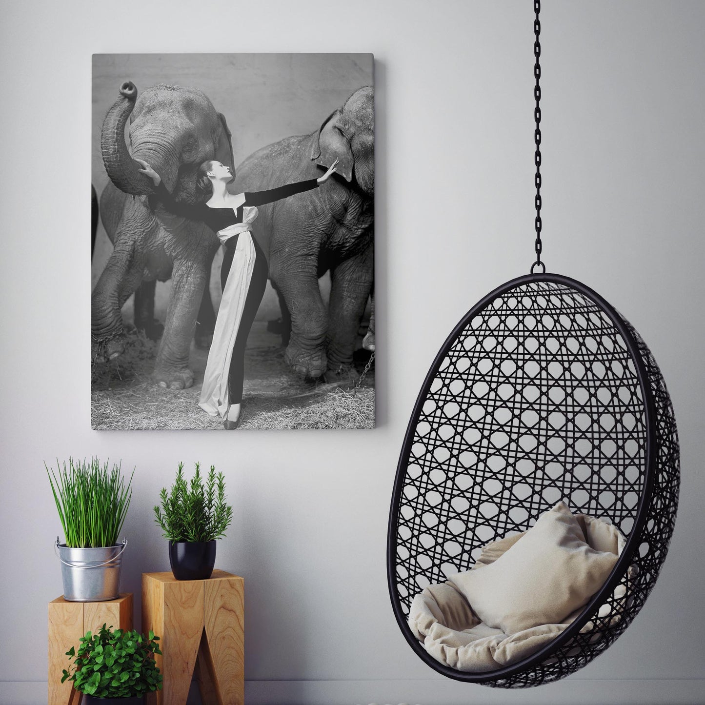 Dovima with the Elephants
