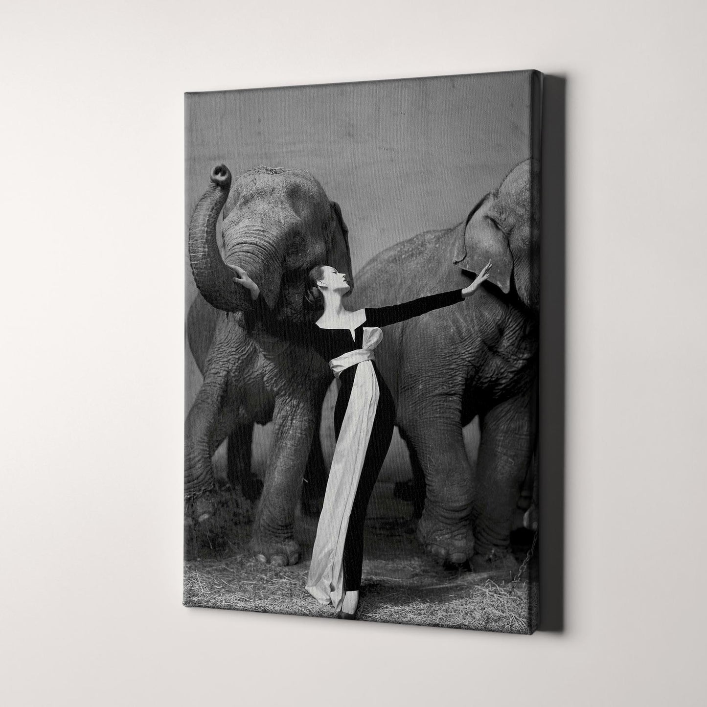 Dovima with the Elephants