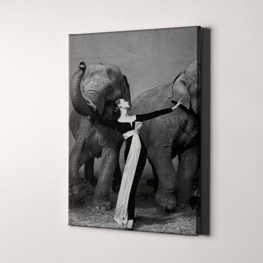 Dovima with the Elephants