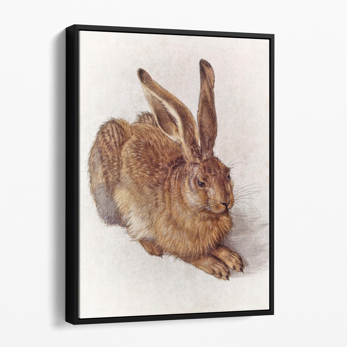 Young Hare by Albrecht Durer