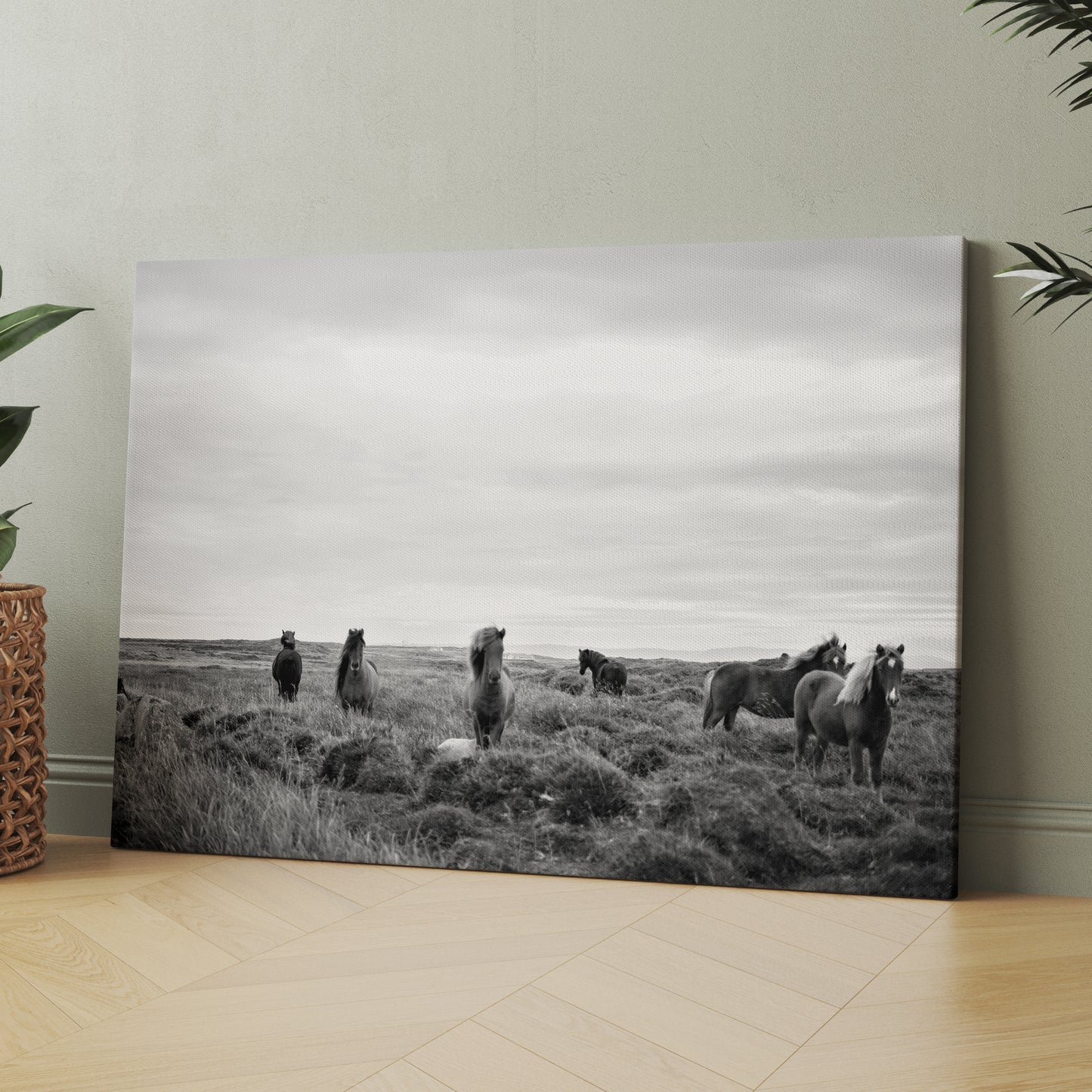 Wild Horses In Field