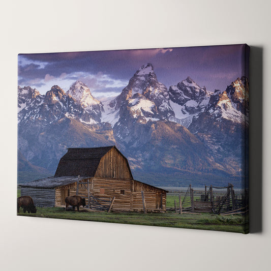 Old Barn With Mountains In Grand Teton National Park