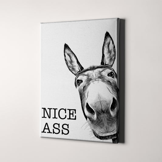 Nice Ass Donkey