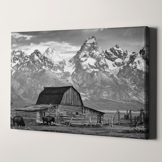 Old Barn In Grand Teton National Park