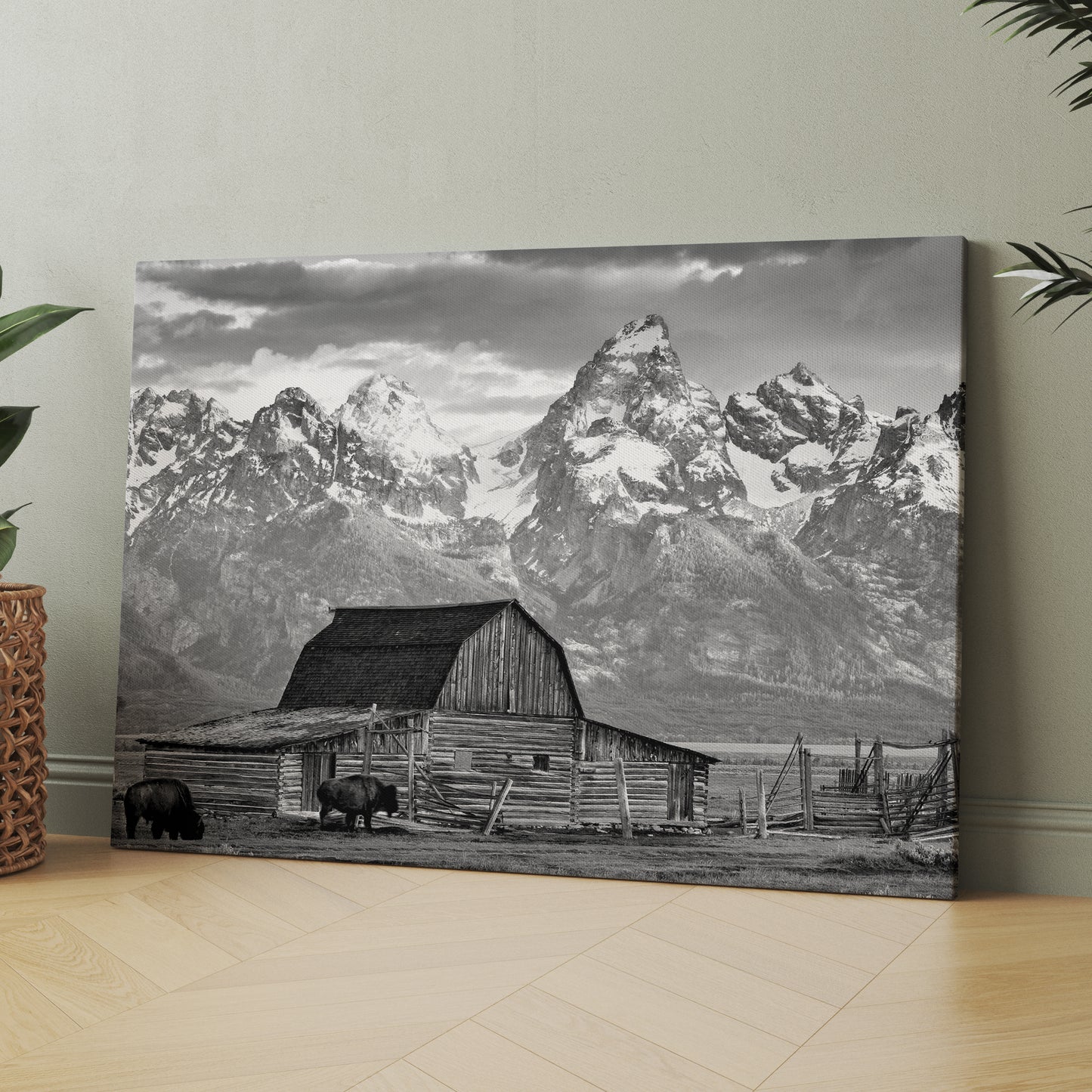 Old Barn In Grand Teton National Park