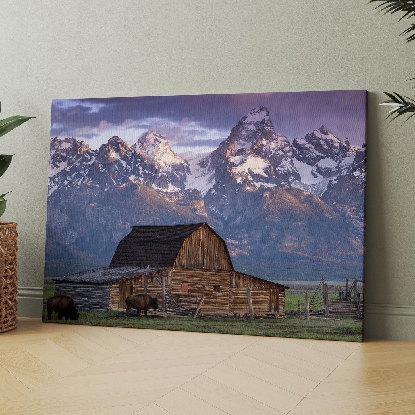 Old Barn With Mountains In Grand Teton National Park