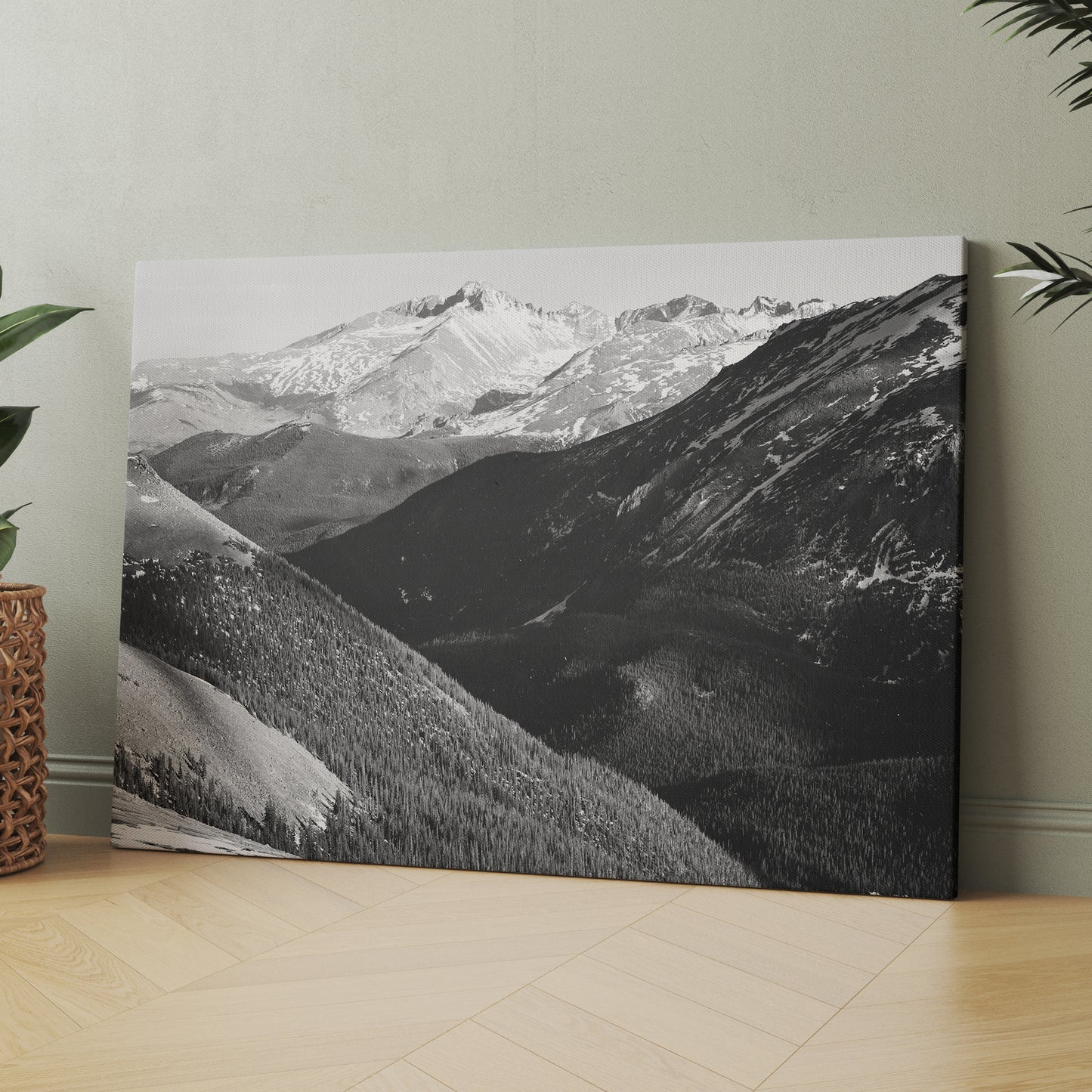 Long's Peak in Rocky Mountain National Park Colorado by Ansel Adams