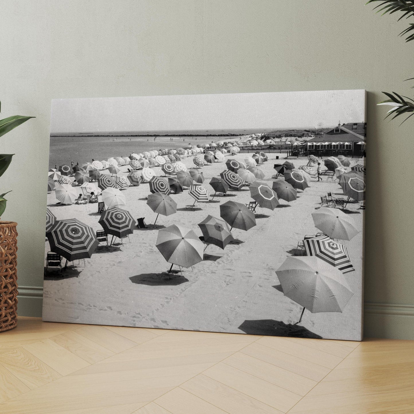 Beach Umbrellas Vintage Beach Photos 1950s