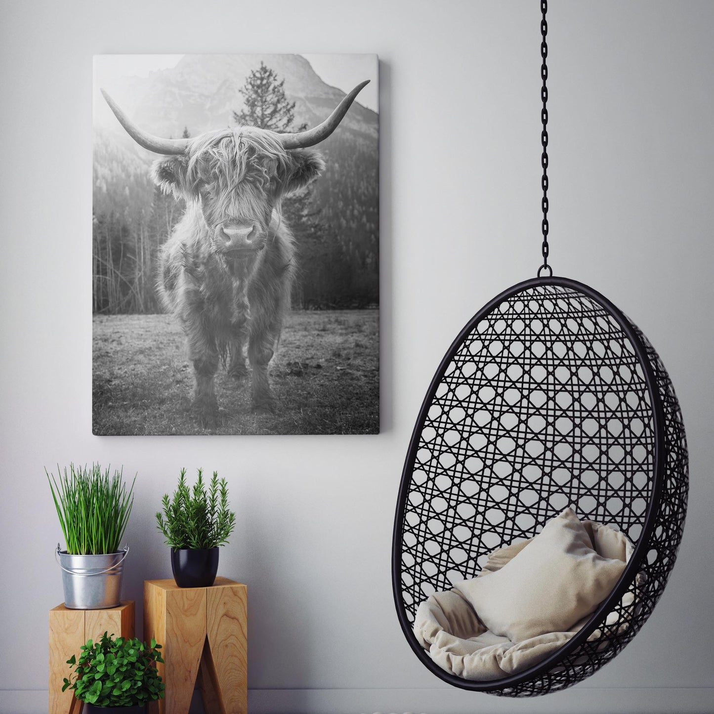 Highland Cow Scottish Cattle Black & White