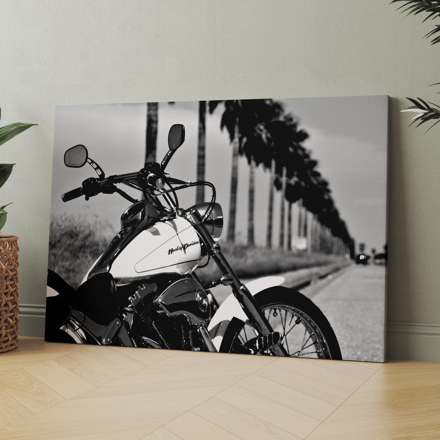 Harley Davidson Motorcycle Among Palm Trees